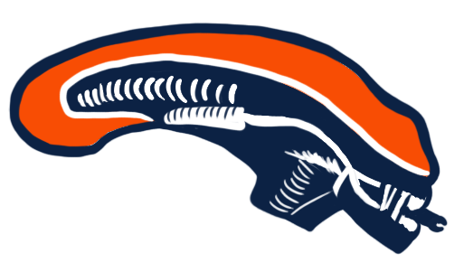 Denver Broncos Halloween Logo DIY iron on transfer (heat transfer)